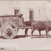 Ox cart