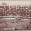 Bull fighting, City of Mexico