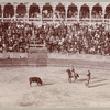 Scene at a bull fight