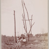 Children swinging