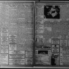 The Villager
