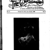 The Cadenza