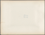 Panorama of the town, North Island, Chincha Islands. Showing Slaughter-House Point, with part of Small Pier. No. 1