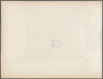 Panorama of the town, North Island, Chincha Islands. No. 3