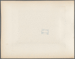 Panorama of South Island, Chincha Islands. No. 2