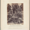 View in the Garden of the Order of the Monks of San Francisco, Lima