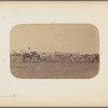 El corral de caballos