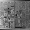 The Villager