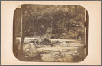 Group photo at river fork with suspended wooden bridges