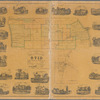 Town & village of Ovid, Seneca Co., N.Y.