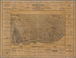 Newburgh, N.Y., 1878