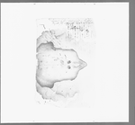 1801-1802