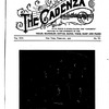 The Cadenza