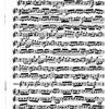 The Cadenza
