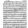 The Cadenza