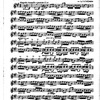 The Cadenza