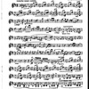 The Cadenza