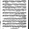 The Cadenza