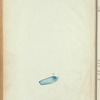 Front cover, back cover, and advertisement pages