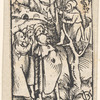Zaccheus in the Sycamore Tree