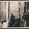 Walter Abel