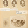 Kovalskaya, Krivoshein, Krizhanovski, Kropotkin