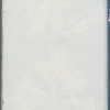 Delesseria sinuosa