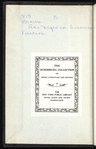 The Negro in American Fiction