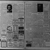 The Villager