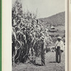 The Land and People of West Africa