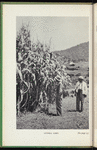 The Land and People of West Africa
