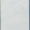 Halidrys siliquosa β minor