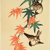 Two birds on maple branch