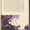 Picken's Treasure Hunt