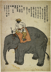 Elephant with Indian mahout