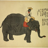 Indian mahout astride the elephant