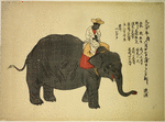 Indian mahout astride the elephant