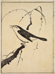 A singing bird