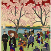 The most beautiful scene of the famous places in Tokyo.  The cherry blossoms on the banks of the Sumida River