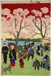 The most beautiful scene of the famous places in Tokyo.  The cherry blossoms on the banks of the Sumida River