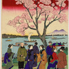 The most beautiful scene of the famous places in Tokyo.  The cherry blossoms on the banks of the Sumida River