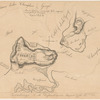 Ticonderoga and its dependencies, August, 1776