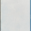 Polysiphonia urceolata