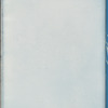 Sporochnus Cabreræ