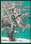 Getting to Know the British West Indies