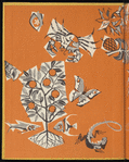 The First Book of the West Indies