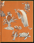 The First Book of the West Indies