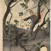 Splendid story of the brave soldier Shirakami