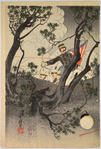 Splendid story of the brave soldier Shirakami