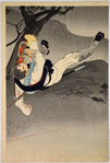 Splendid story of the brave soldier Shirakami